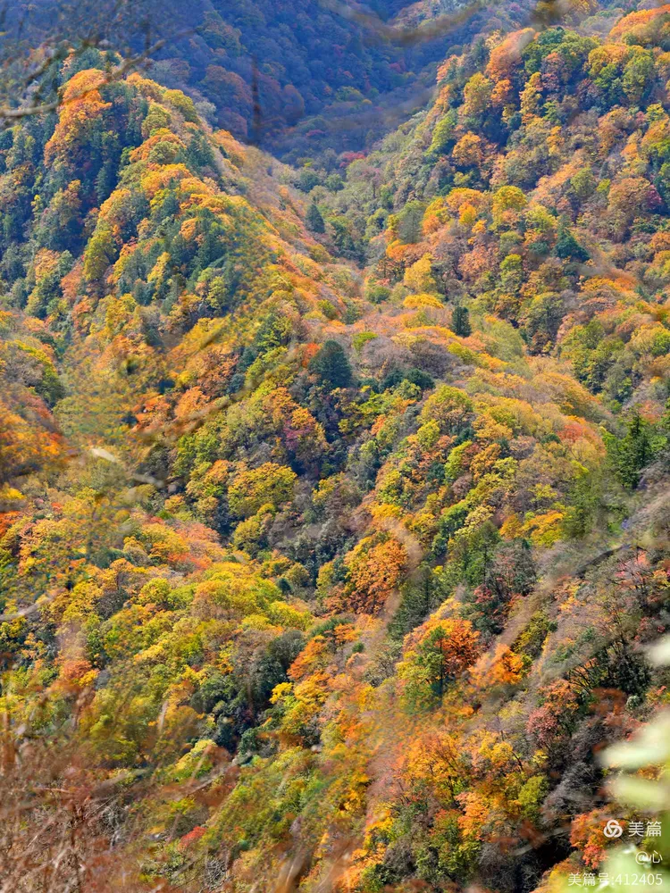 四川香炉山,秋天的童话
